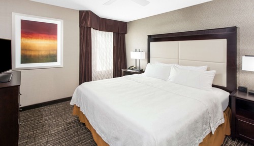 Suite, 1 Bedroom, Non Smoking (1 King Bed, 1 Sofa Bed)