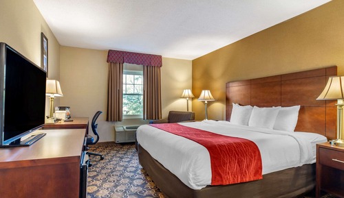 Standard Room, 1 King Bed, Non Smoking