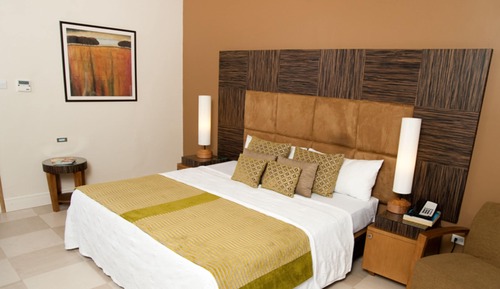 Standard Room, 1 King Bed (Garden or Courtyard)