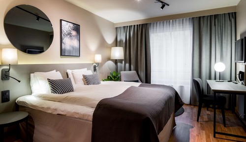 Room, 1 King Bed