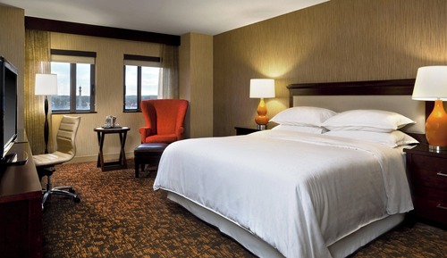 Room, 1 King Bed