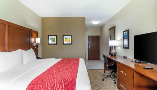 Standard Room, 1 King Bed, Non Smoking