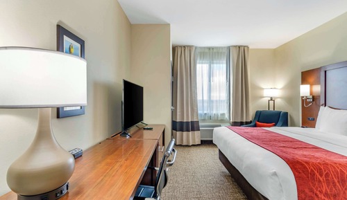 Room, 1 King Bed, Non Smoking (Wet Bar)