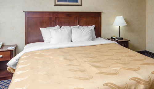 Standard Room, 1 King Bed, Non Smoking
