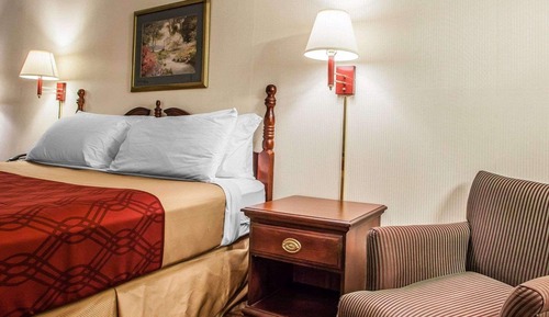 Standard Room, 1 King Bed, Non Smoking