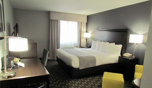 Standard Room, 1 King Bed, Accessible, Non Smoking