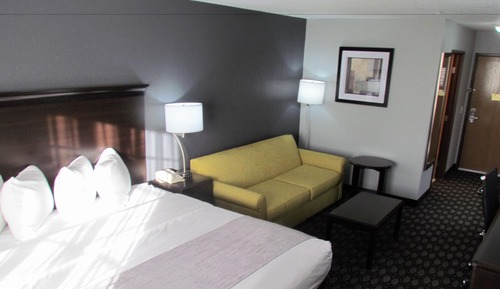 Executive Room, 1 King Bed, Non Smoking, Refrigerator & Microwave