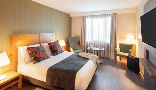 Superior Room, 1 Double Bed