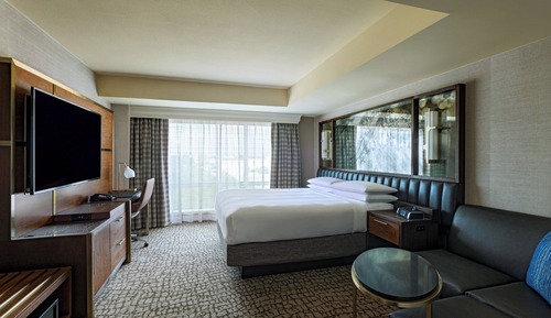 Room, 1 King Bed, Non Smoking