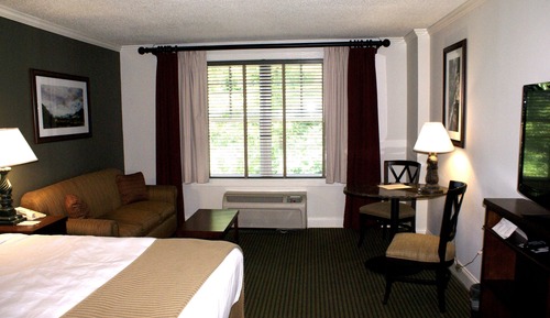 Room, 1 King Bed, Non Smoking, Fireplace