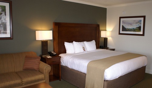 Suite, 1 King Bed, Fireplace