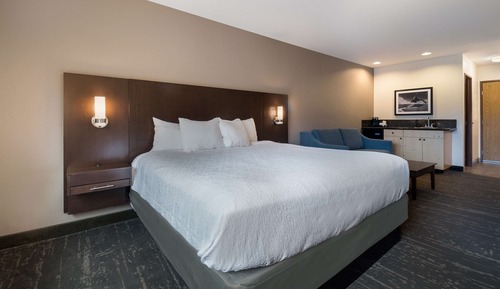Standard Room, 1 King Bed, Non Smoking, Refrigerator & Microwave (with Sofabed)