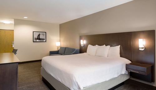Standard Room, 1 King Bed, Non Smoking, Refrigerator & Microwave (with Sofabed)