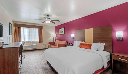 Standard Room, 1 King Bed, Non Smoking, Refrigerator & Microwave (with Sofabed)