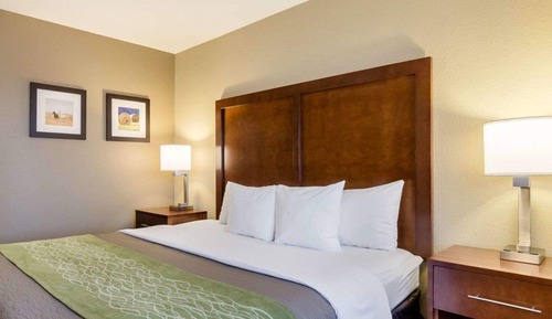 Standard Room, 1 King Bed, Non Smoking