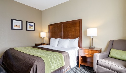 Room, 1 King Bed, Accessible, Non Smoking