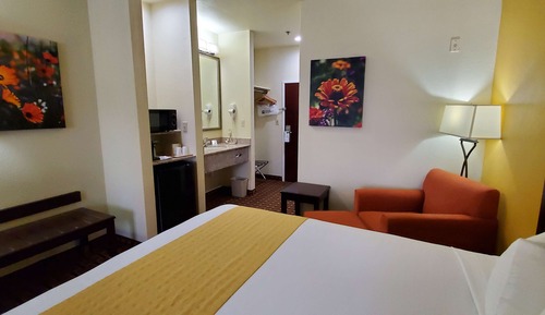 Standard Room, 1 King Bed, Non Smoking, Refrigerator & Microwave
