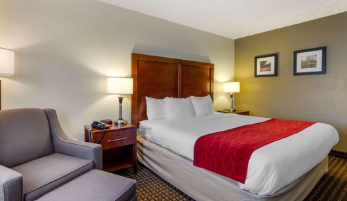 Standard Room, 1 King Bed, Non Smoking