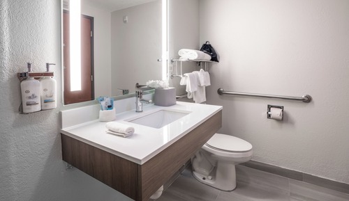 Standard Room, 1 King Bed, Accessible, Bathtub (Communications)