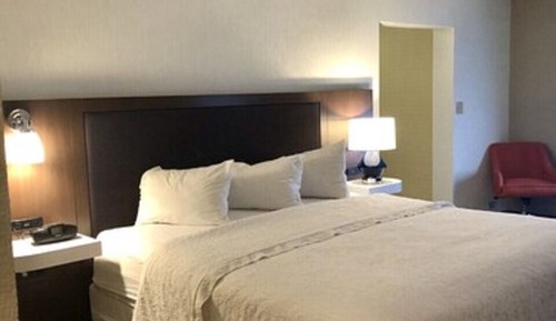 Room, 1 King Bed (Peloton Bike)