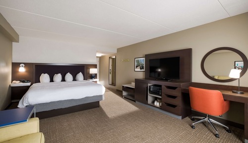 Room, 1 King Bed with Sofa bed, Non Smoking, Refrigerator & Microwave (Shower)