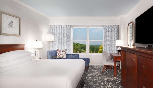 Room, 1 King Bed, Accessible (Mobility, Roll-In Shower)