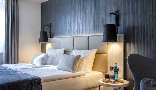 Business Double Room