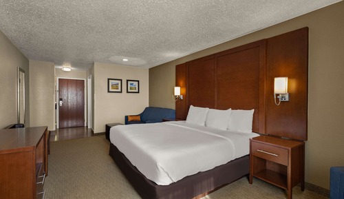 Standard Room, 1 King Bed with Sofa bed, Non Smoking