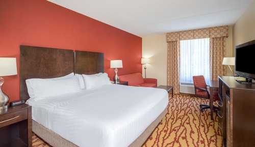 Standard Room, 1 King Bed with Sofa bed