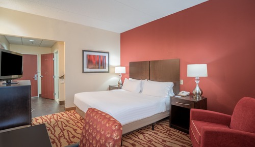 Standard Room, 1 King Bed, Accessible (Mobil, Roll Shwr)