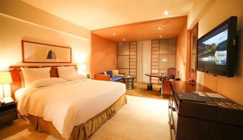 Deluxe Room, 1 Queen Bed (Plus)