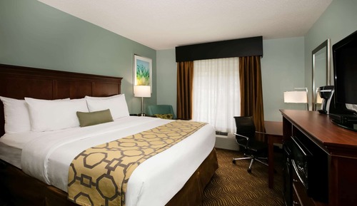 Room, 1 King Bed, Accessible, Non Smoking
