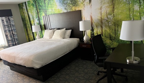 Deluxe Single Room, 1 King Bed (Deluxe King)