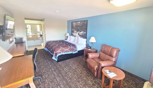 Room, 1 King Bed, Accessible, Non Smoking