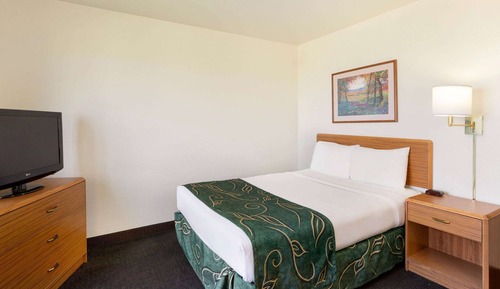 Room, 1 Queen Bed, Accessible, Non Smoking (Roll-In Shower)
