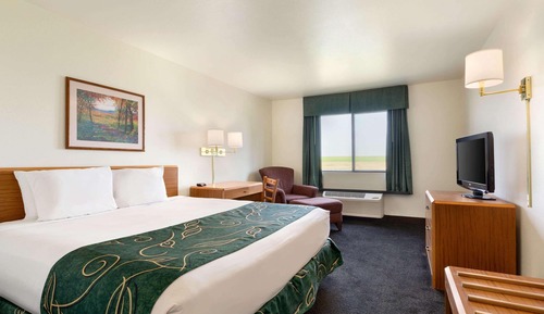 Room, 1 Queen Bed, Non Smoking