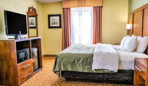 Standard Room, 1 King Bed, Non Smoking