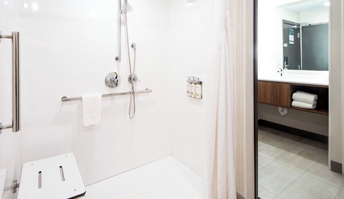 Standard Room, 1 King Bed, Mobility Accessible, Non Smoking (Communications)