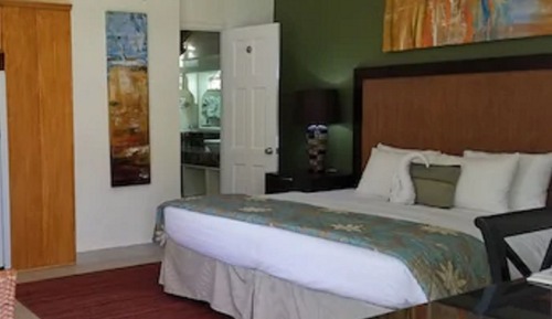 Superior Studio, 1 King Bed, Kitchenette, Garden View