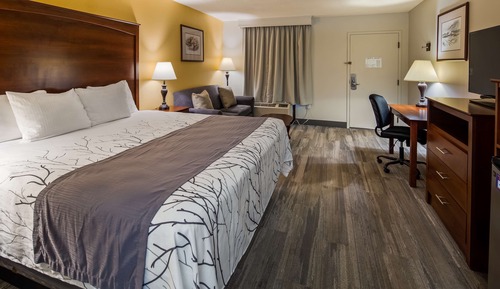 Standard Room, 1 King Bed, Non Smoking, Jetted Tub