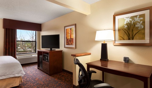 Room, 1 King Bed, Non Smoking