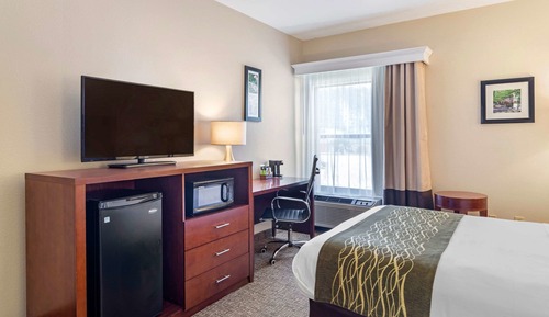 Suite, 1 Queen Bed with Sofa bed, Non Smoking (Efficiency)