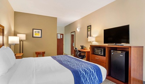 Standard Room, 1 King Bed, Accessible, Non Smoking