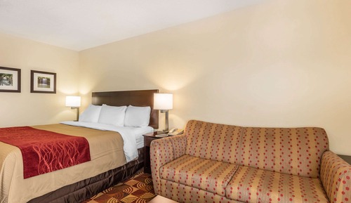 Standard Room, 1 King Bed with Sofa bed, Non Smoking