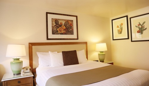 Standard Room, 1 King Bed