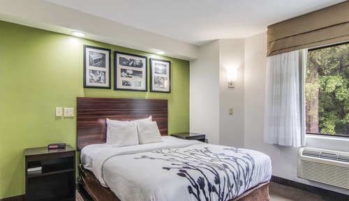 Room, 1 Queen Bed, Non Smoking