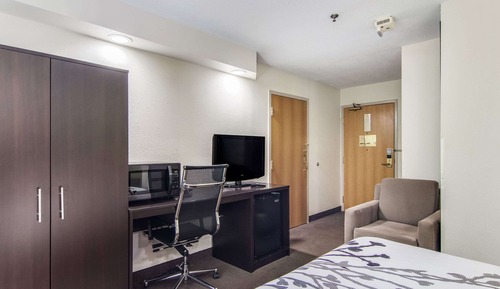 Room, 1 Queen Bed, Accessible, Non Smoking