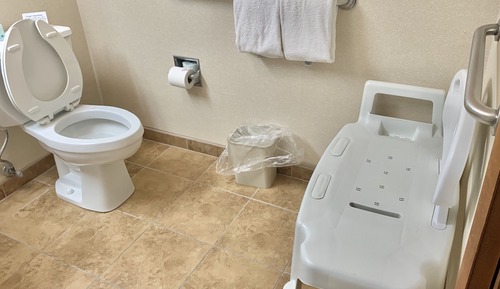 Room, 1 Queen Bed, Accessible, Non Smoking (Roll-In Shower)