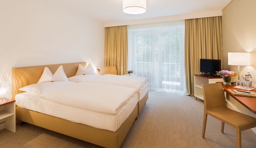 Double Room Retro (Vintage Look)