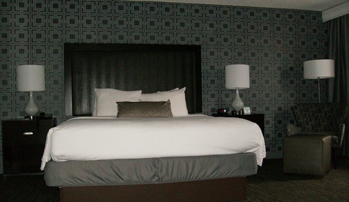 Standard Room, 1 King Bed, Non Smoking, Refrigerator & Microwave